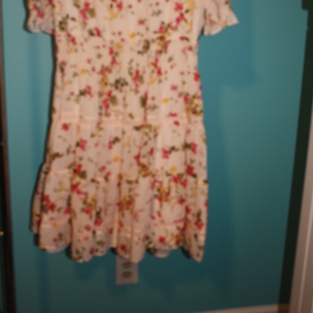 Taylor Dress size 10